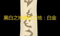 黑白之地黑白之地：白金币介绍
